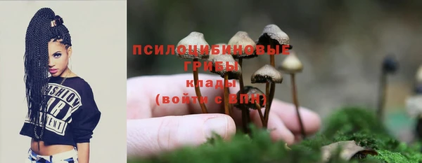 прущий лед Вязники