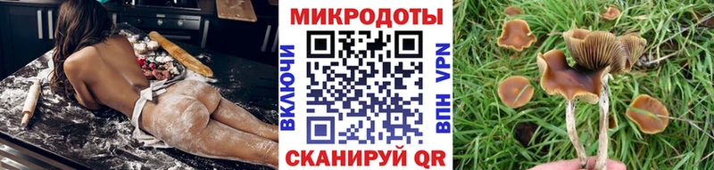 маркетплейс клад  Псков  Псилоцибиновые грибы Psilocybe  ОМГ ОМГ как зайти 